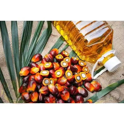 Palm Oil